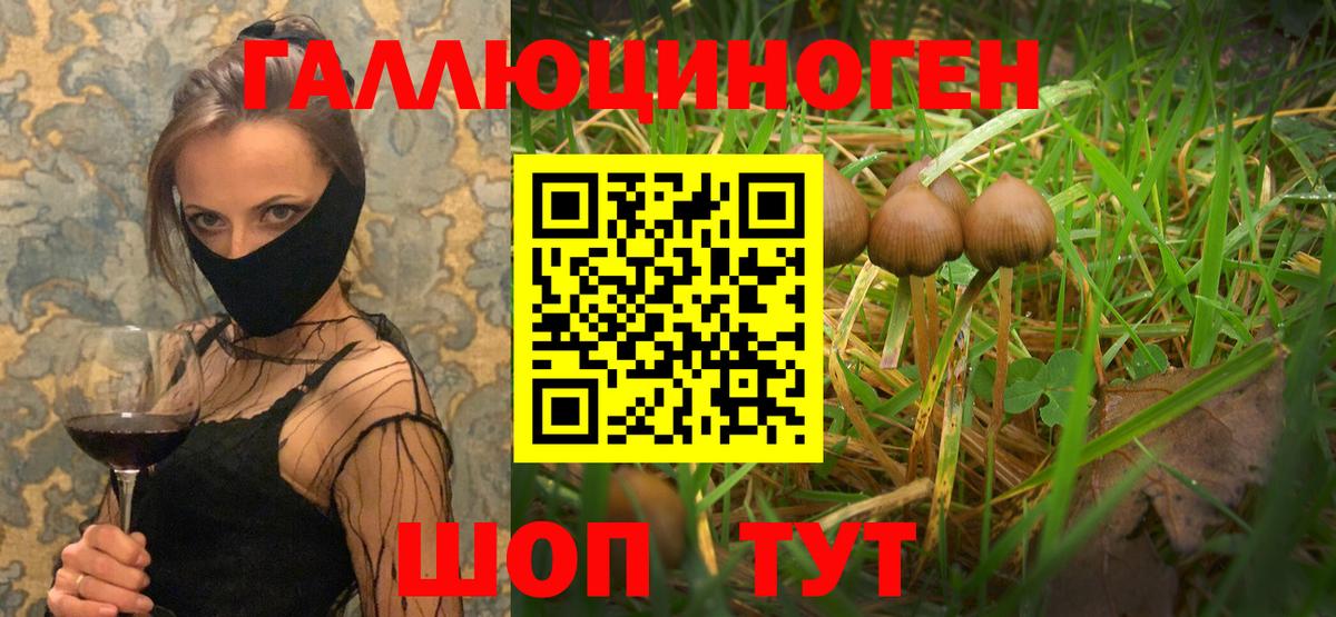 Псилоцибиновые грибы Psilocybe  Вход с VPN  Бахчисарай  Псилоцибиновые грибы Psilocybine cubensis 