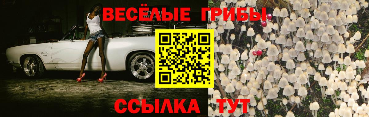 Галлюциногенные грибы мицелий Бахчисарай